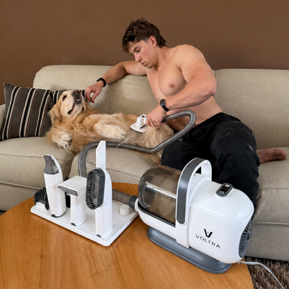 Aspiradora para Mascotas Voltra | Kit Grooming Perros y Gatos