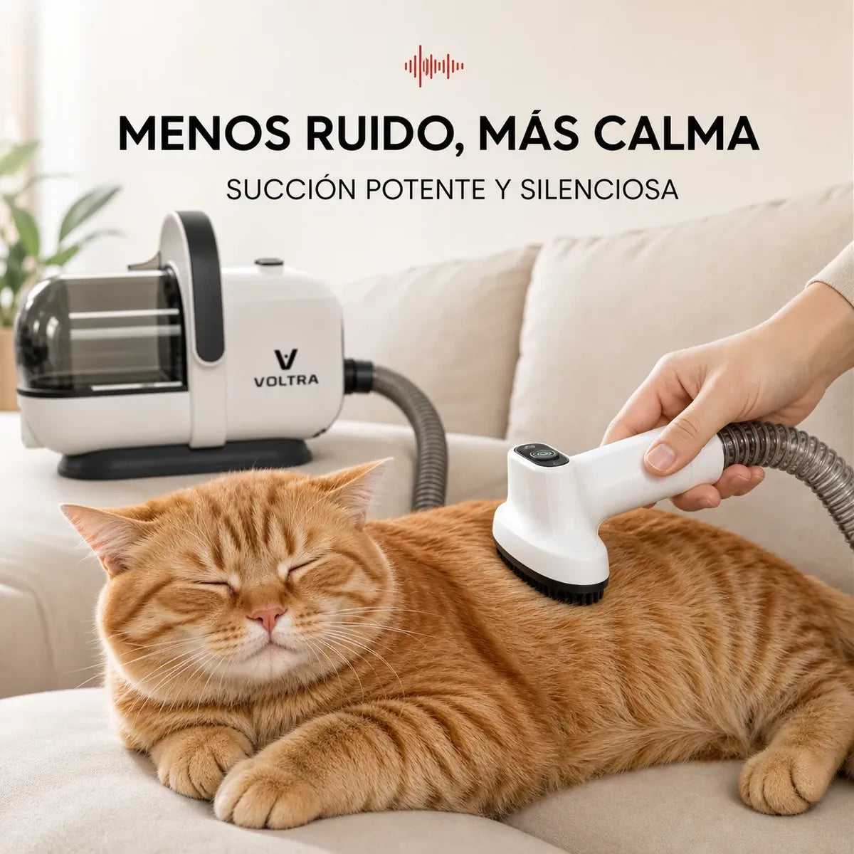 Aspiradora para Mascotas Voltra | Kit Grooming Perros y Gatos