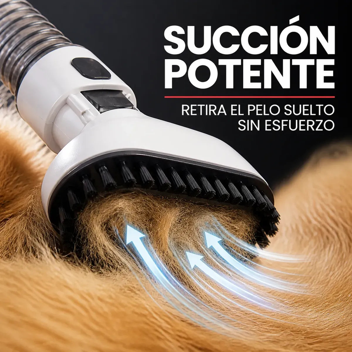 Aspiradora para Mascotas Voltra | Kit Grooming Perros y Gatos